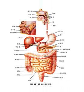 ����ϵ�y(t��ng)ˎ��