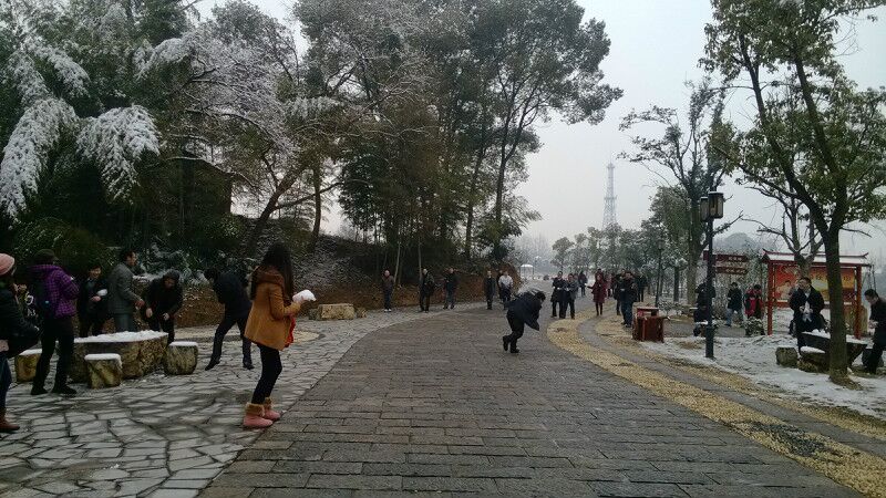 ��˾�F(tu��n)�(du��)���(d��ng)